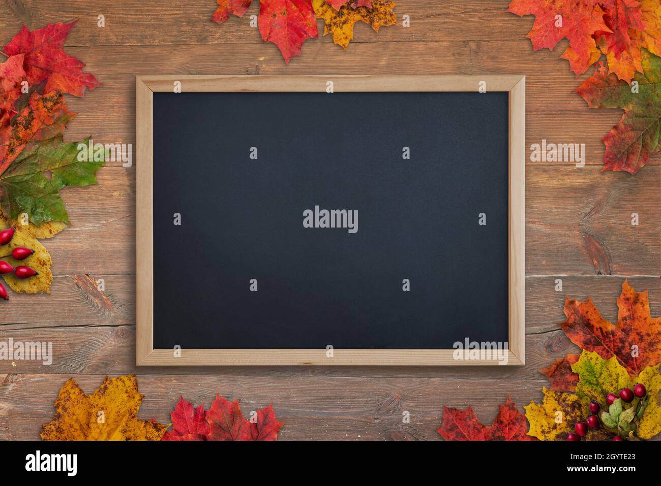 Nettoyer le tableau noir sur une table en bois entourée de feuilles d'automne.Vue de dessus, composition de la pose à plat Banque D'Images