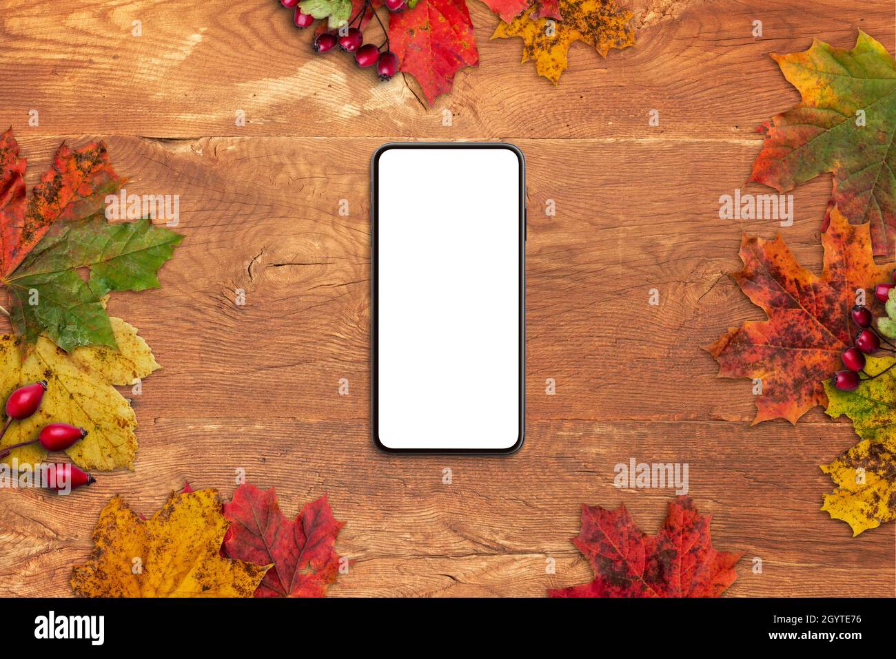 Téléphone avec affichage isolé sur une table en bois entourée de feuilles d'automne.Vue de dessus, composition de la pose à plat Banque D'Images
