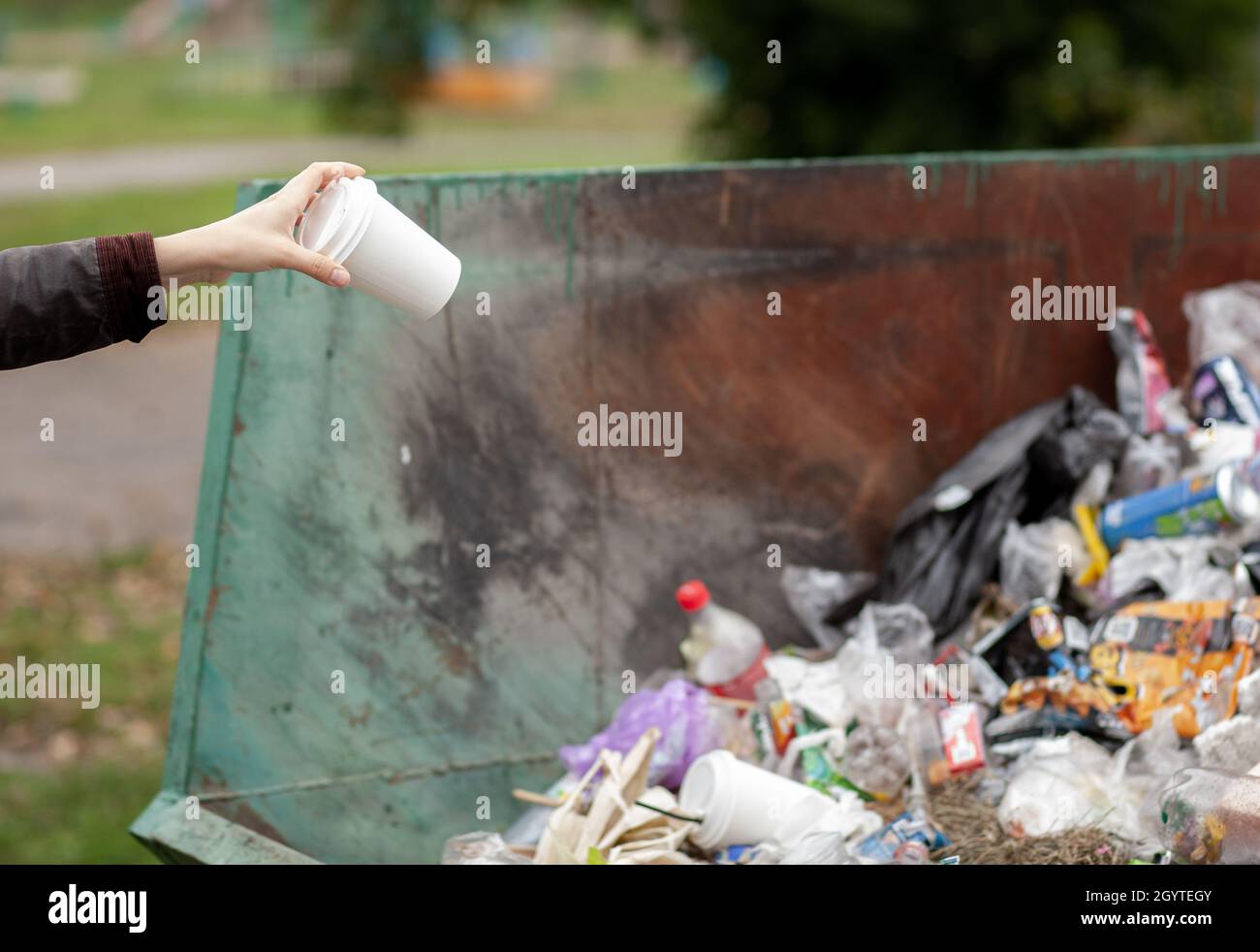 Femme jetant un verre de carton dans un bac de recyclage.Prendre soin de la propreté de la ville et de l'environnement.Une grande poubelle dans un Banque D'Images