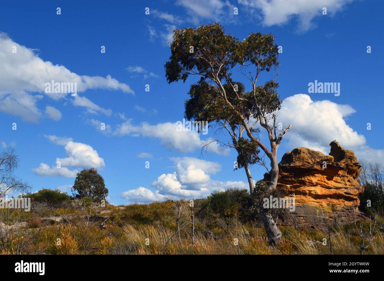 Vue sur Victoria Falls Road dans les Blue Mountains d'Australie Banque D'Images