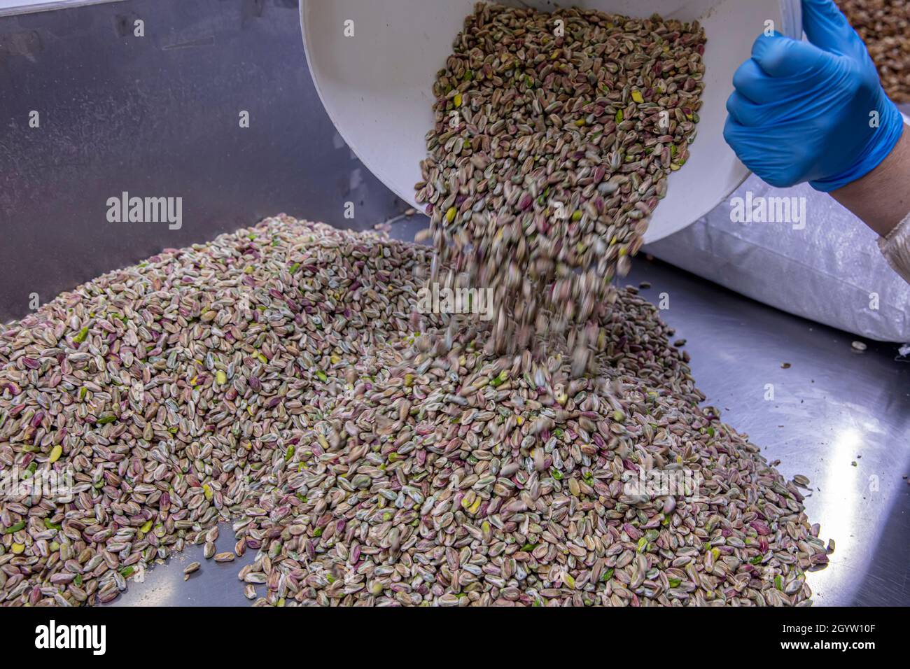 Préparation de pistaches dans une usine de baklava.Un fond de pistaches vertes non salées.Pistache du Bronte, Sicile. Banque D'Images