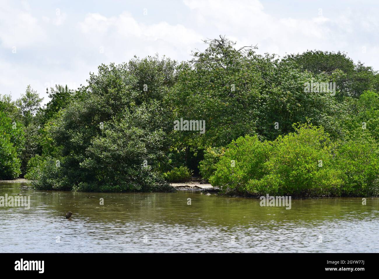 Eau lagon nature Banque D'Images