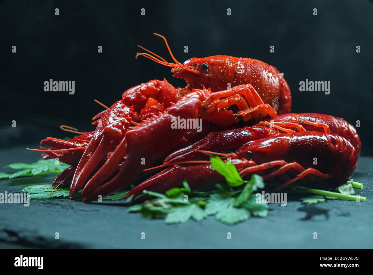 Langouste bouillie cuite rouge sur table. Banque D'Images