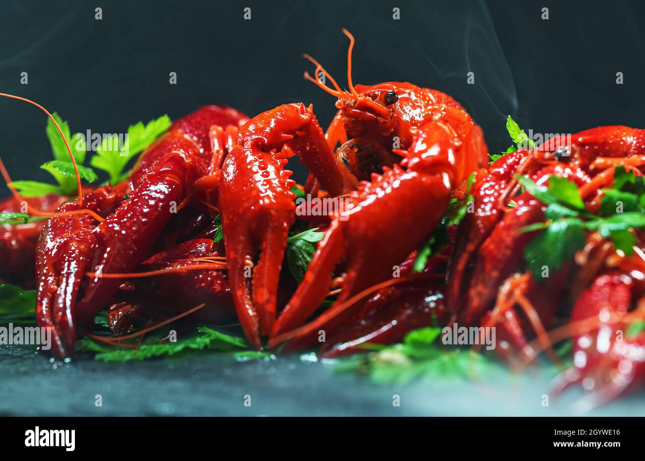 Langouste bouillie cuite rouge sur table. Banque D'Images