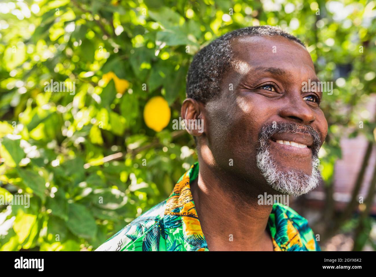 Portrait d'un homme afro-américain âgé Banque D'Images