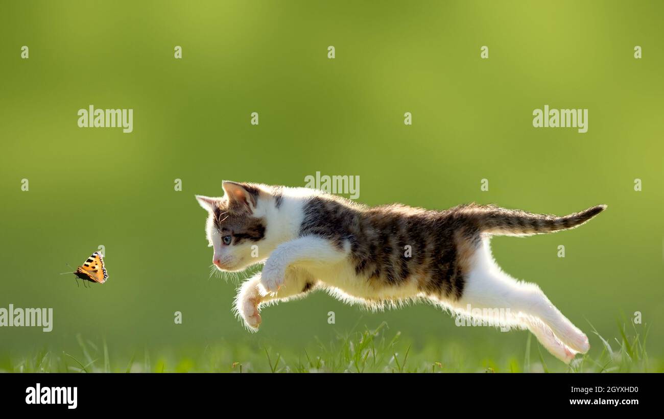 Vomit Banque D Image Et Photos Page 4 Alamy