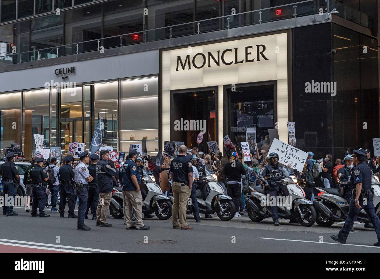 NEW YORK, NY - 9 OCTOBRE : les policiers de la NYPD observent une  manifestation des militants des droits des animaux lors d'une marche contre  la fourrure devant le magasin Moncler sur