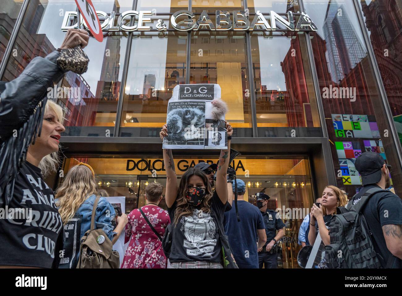 NEW YORK, NY - 9 OCTOBRE : des militants des droits des animaux protestent  avec des panneaux et des bannières lors d'une marche anti-fourrure devant  le magasin Dolce & Gabbana sur la