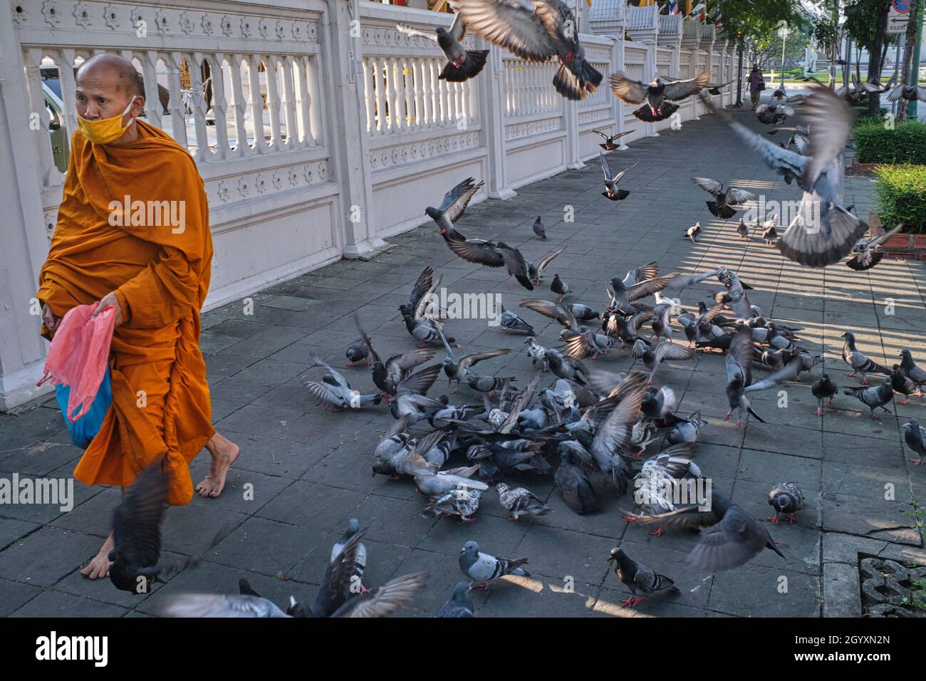 Un moine bouddhiste thaïlandais pieds nus passe devant un troupeau de pigeons étoilé devant Wat (temple) Ratchaburana (Wat Liab), à Bangkok, en Thaïlande Banque D'Images