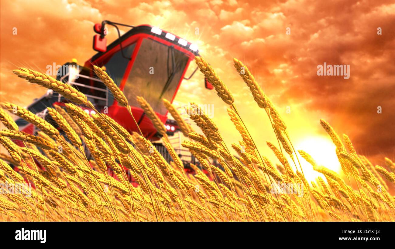 Moissonneuse agricole sur le champ de seigle ou de blé au lever du soleil - rendu 3D industriel par cg fictif Banque D'Images