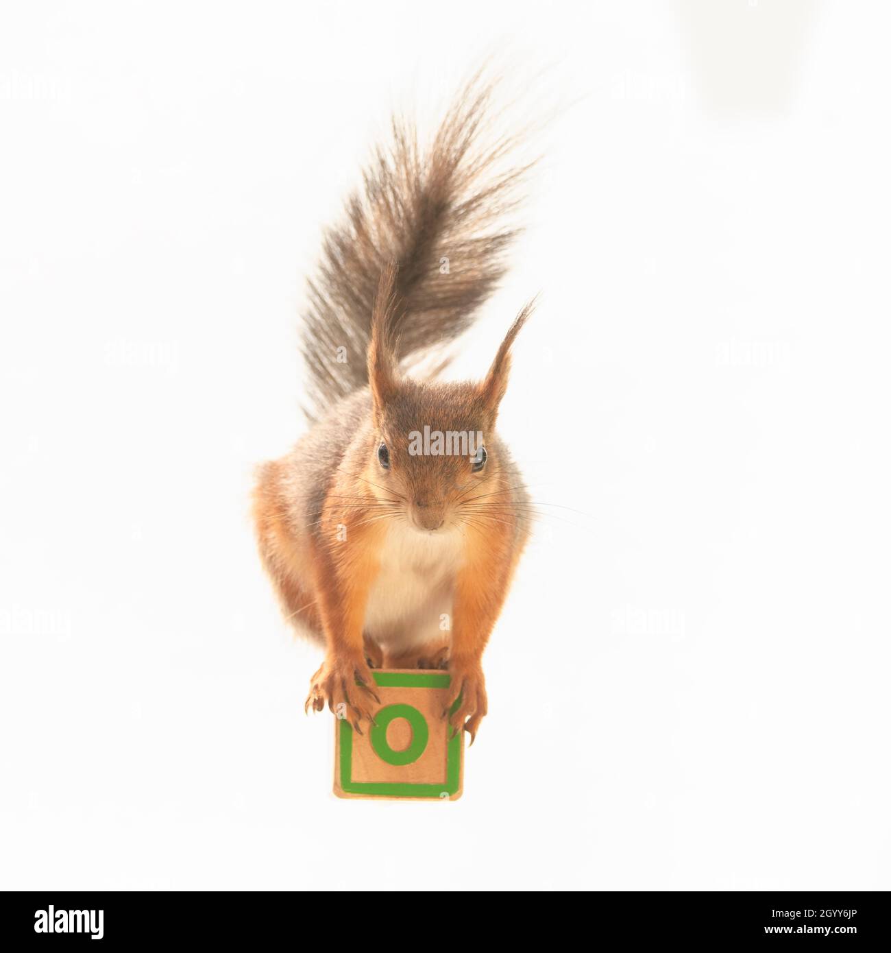 tronc d arbre de lettres banque d image et photos page 5 alamy