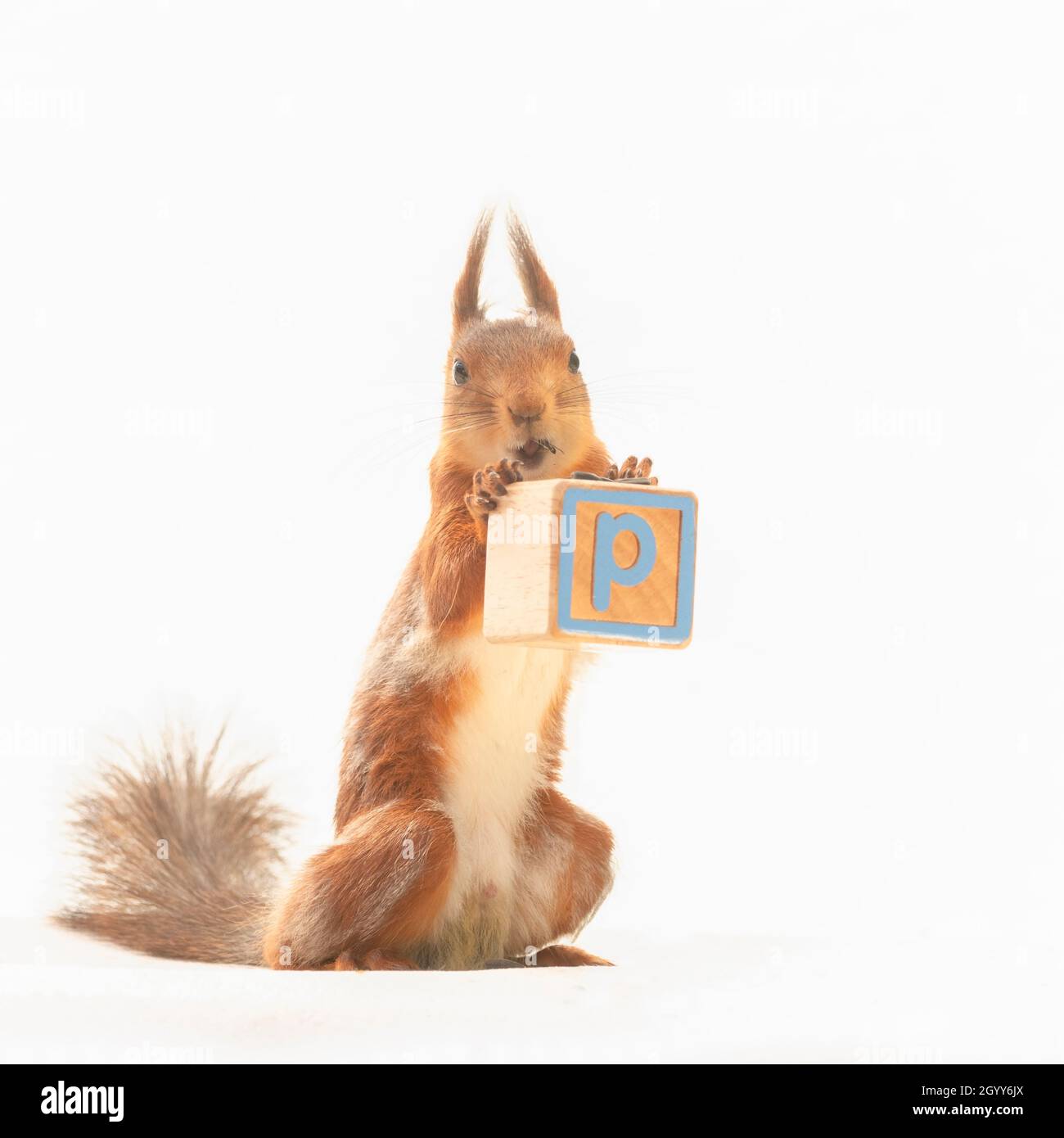 tronc d arbre de lettres banque d image et photos page 5 alamy