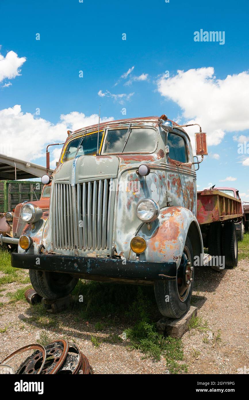 Vintage 1940s American Ford COE Truck dans Junkyard Banque D'Images