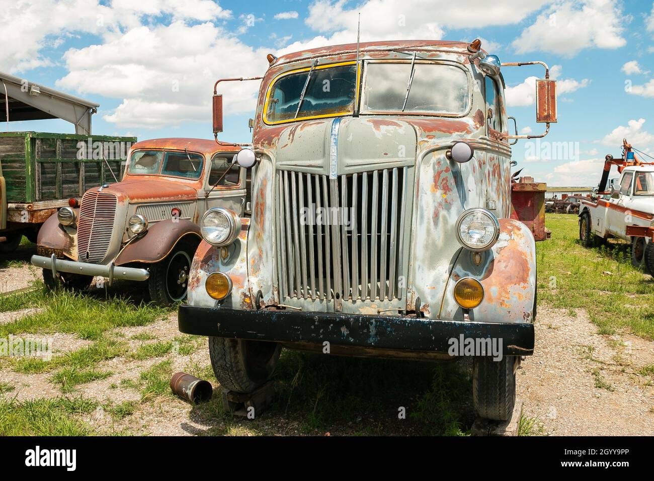 Vintage 1940s American Ford COE Truck dans Junkyard Banque D'Images