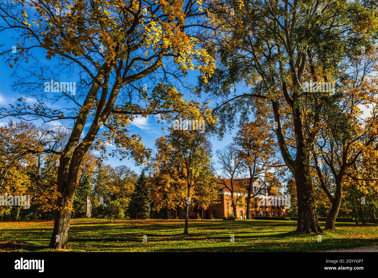 feuillage orange dans le parc de la ville lors d'une matinée ensoleillée d'automne Banque D'Images