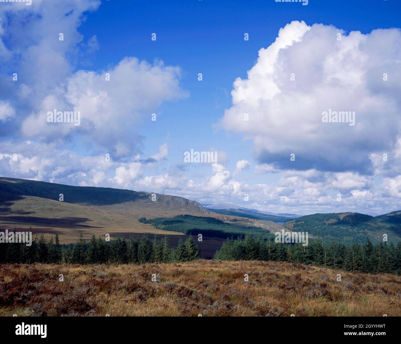 Nuage passant par le sommet de Cairnsmore de la flotte au-dessus de la grande eau de Fleet Valley Dumfries et Galloway Ecosse Banque D'Images