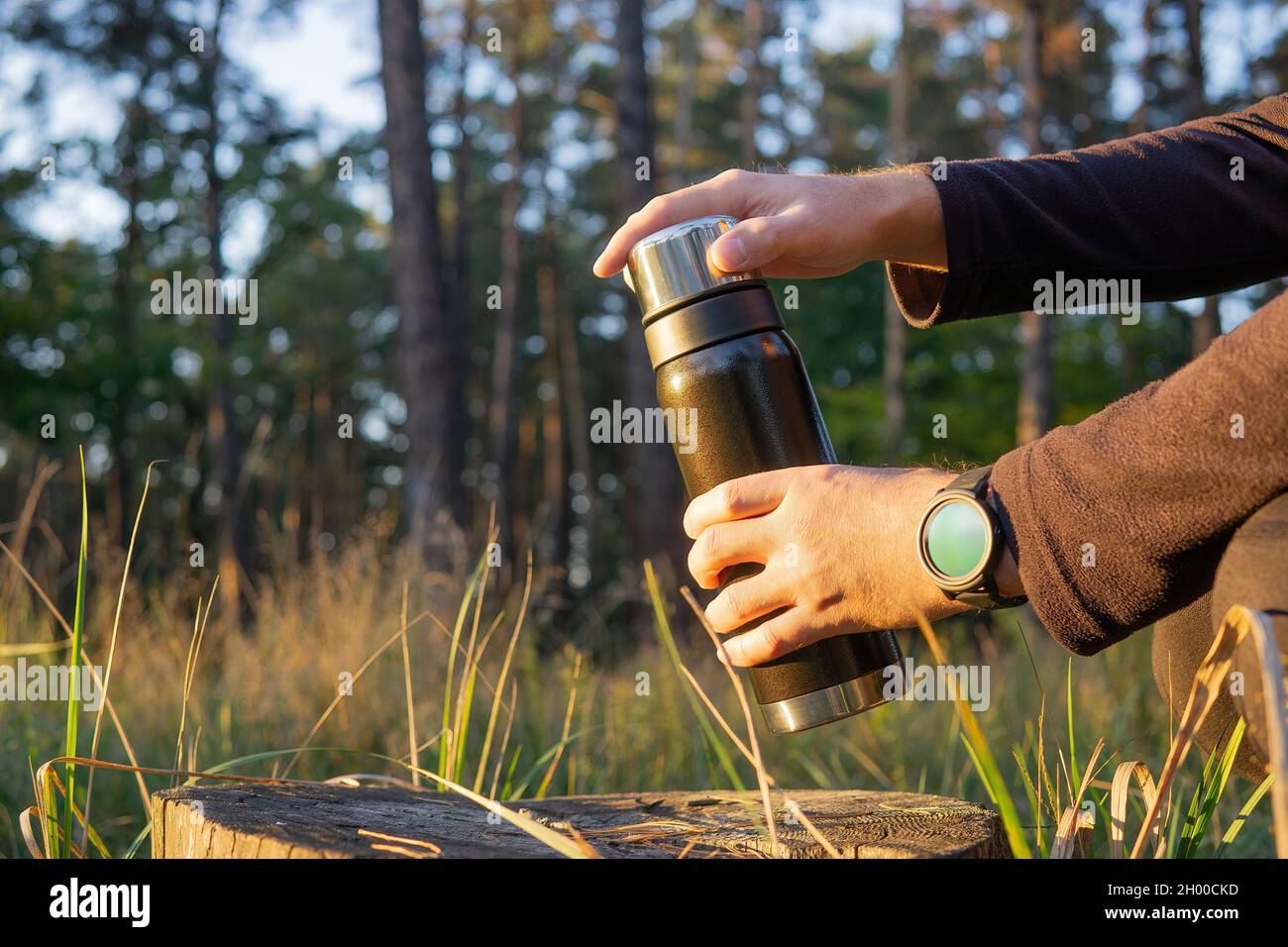 Touriste ouvrant un thermos sous vide par une souche d'arbre dans les bois au coucher du soleil Banque D'Images