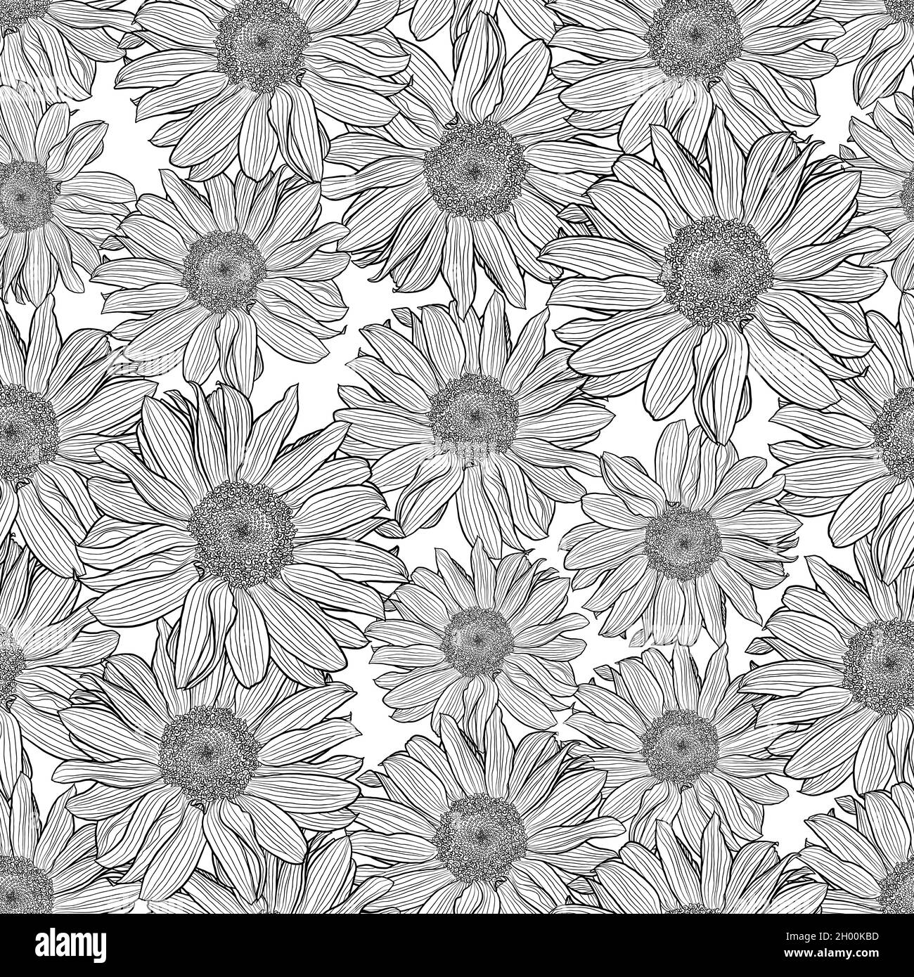 Motif vectoriel sans couture de fleurs de camomille en noir et blanc.Imprimé décoratif pour le papier peint, l'emballage, le textile, le tissu de mode ou d'autres couvertures imprimables. Illustration de Vecteur