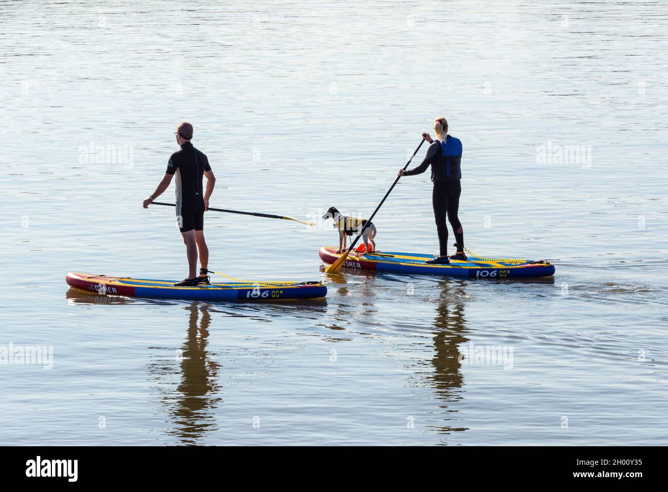 Un homme et une femme sur paddleboards, avec leur chien, à Barry Old Harbour, un jour ensoleillé, exceptionnellement doux et encore en automne. Banque D'Images