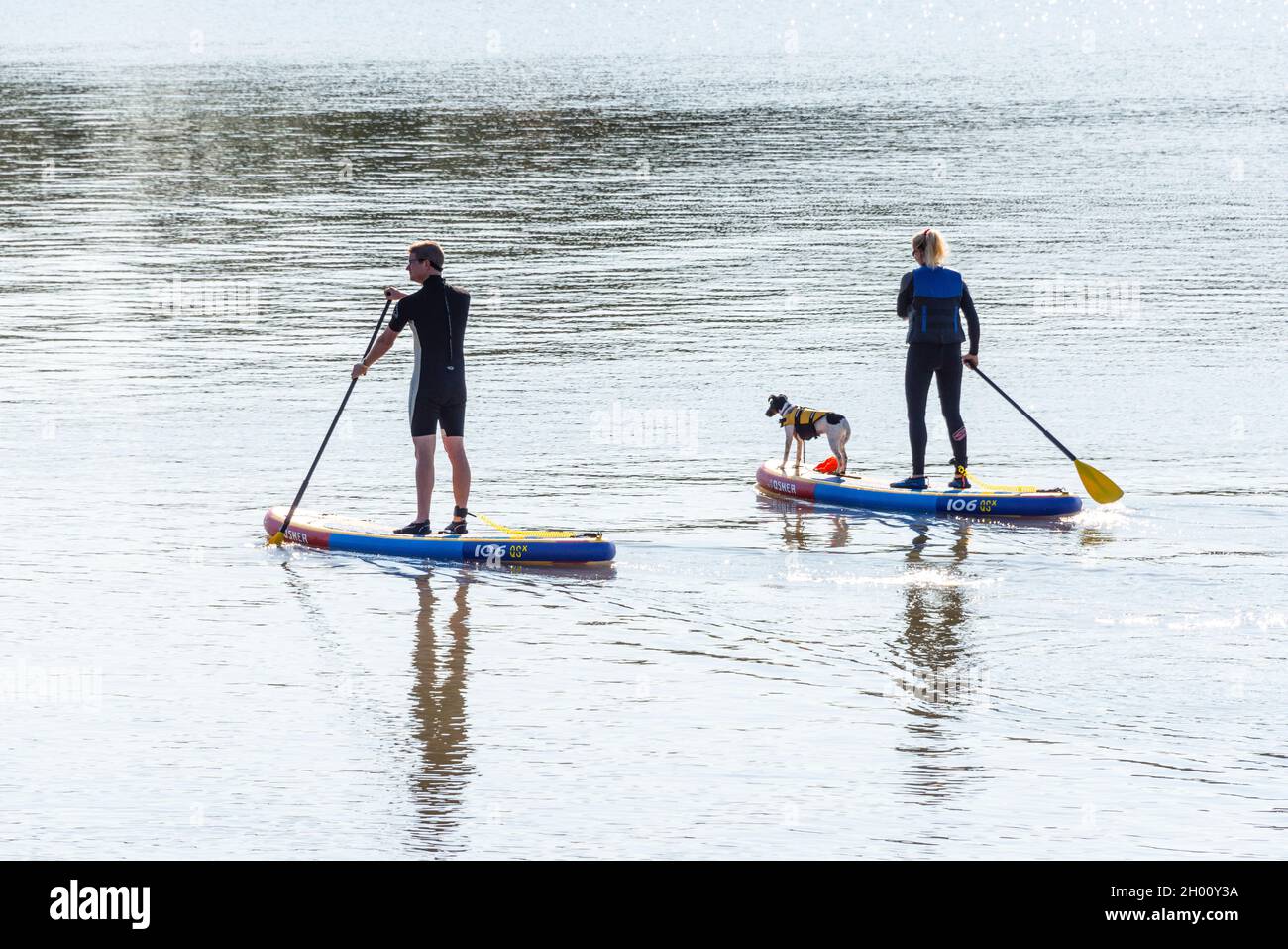 Un homme et une femme sur paddleboards, avec leur chien, à Barry Old Harbour, un jour ensoleillé, exceptionnellement doux et encore en automne. Banque D'Images