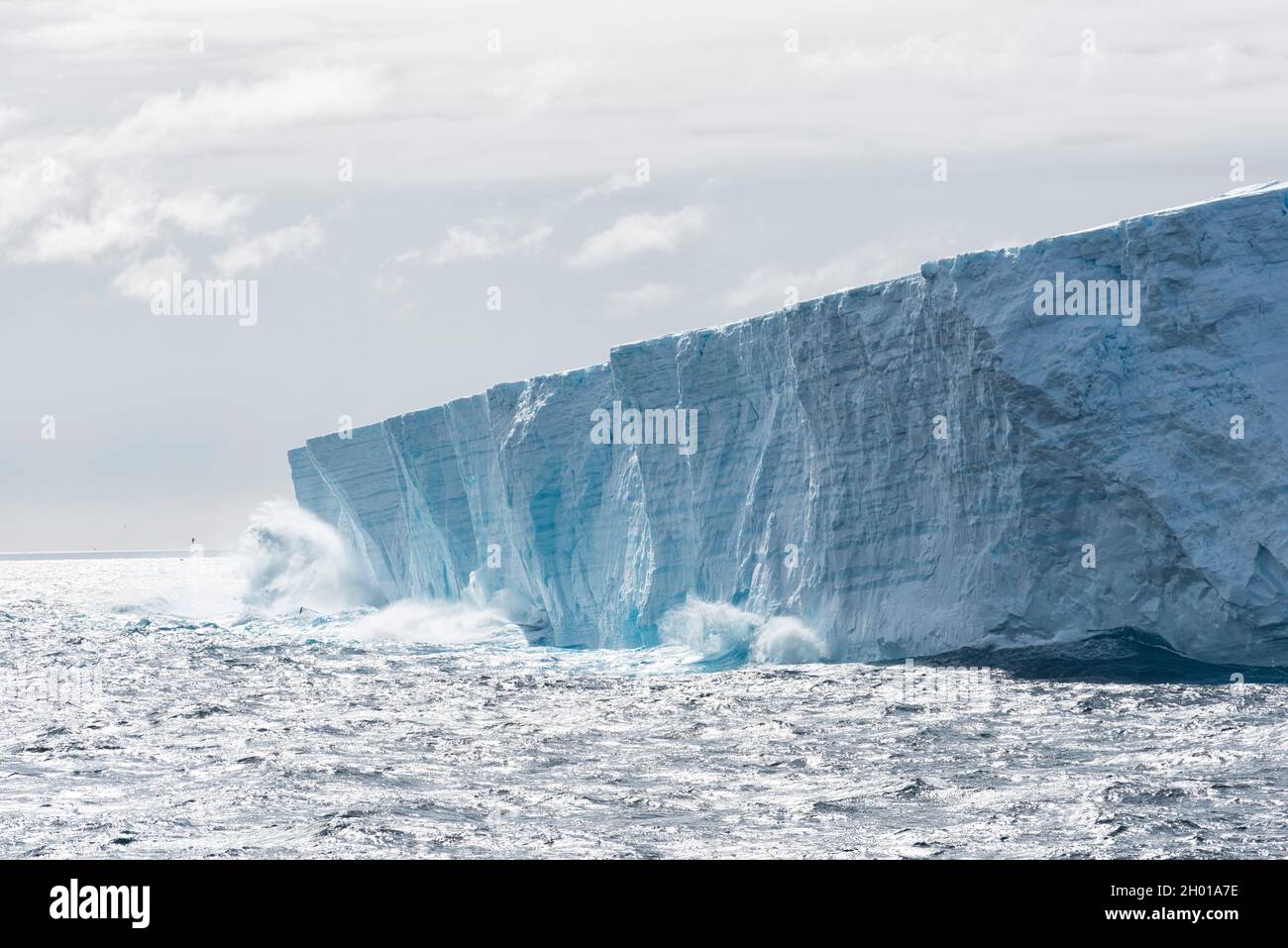 Grand iceberg tabulaire vêlage à la mer.Océan Austral, Antarctique, Antarctique Banque D'Images