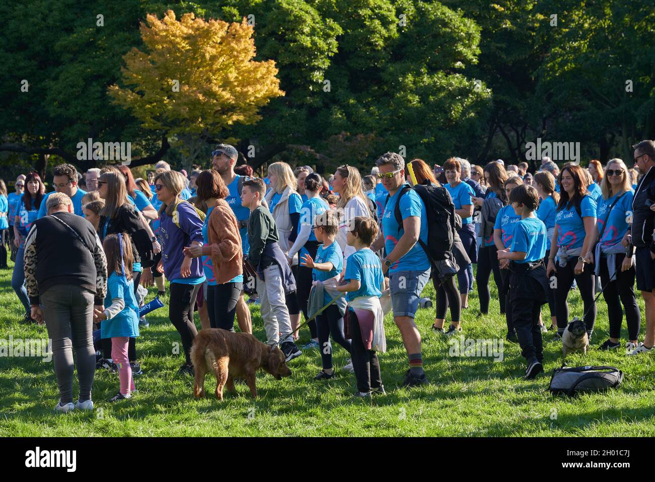 Des marcheurs de charité sur une promenade de mémoire à Bute Park, Cardiff, amassant de l'argent pour financer la recherche sur la maladie d'Alzheimer Banque D'Images