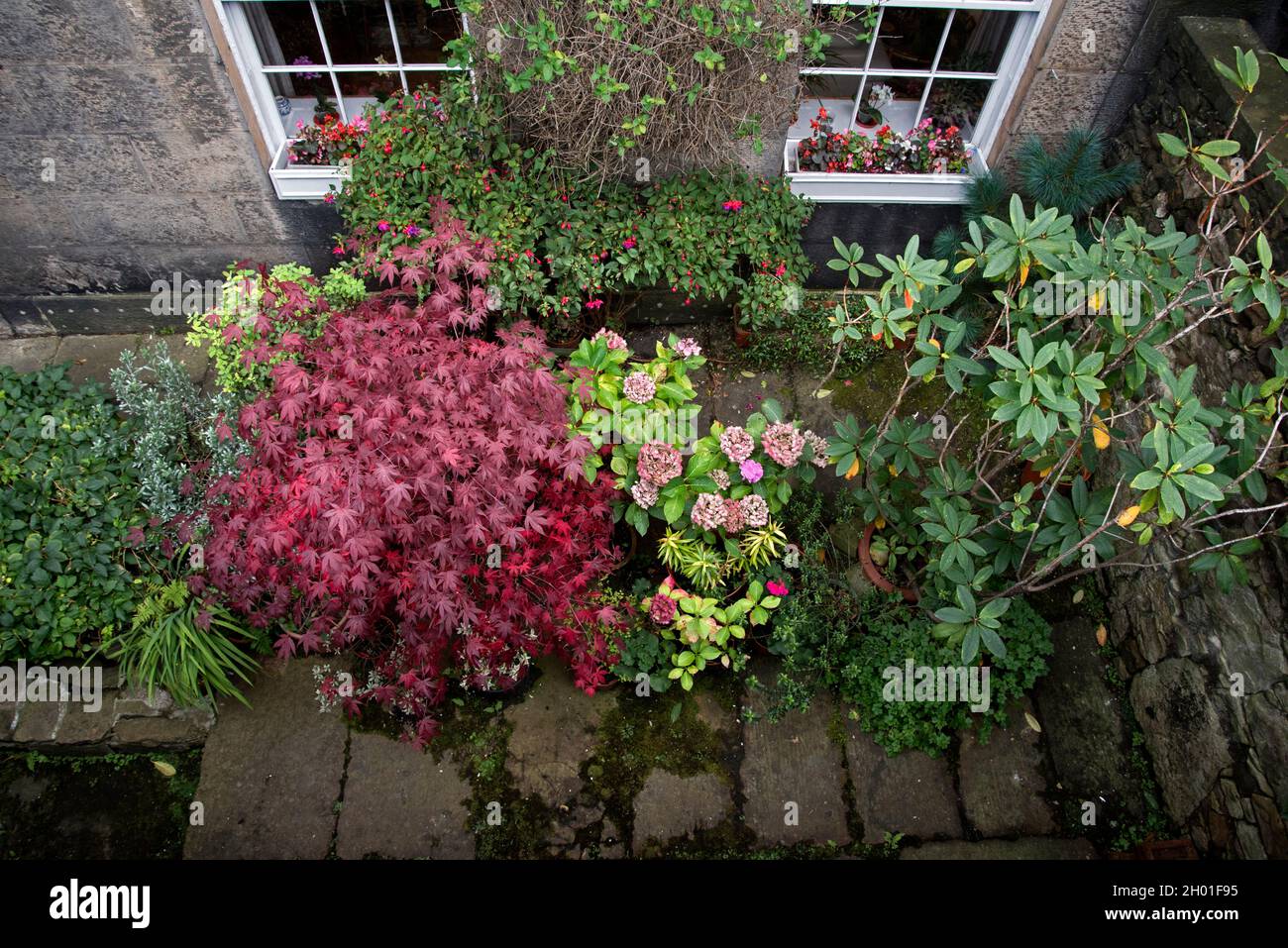Sous-sol jardin plat au début de l'automne dans la Nouvelle ville, Edimbourg, Ecosse, Royaume-Uni. Banque D'Images