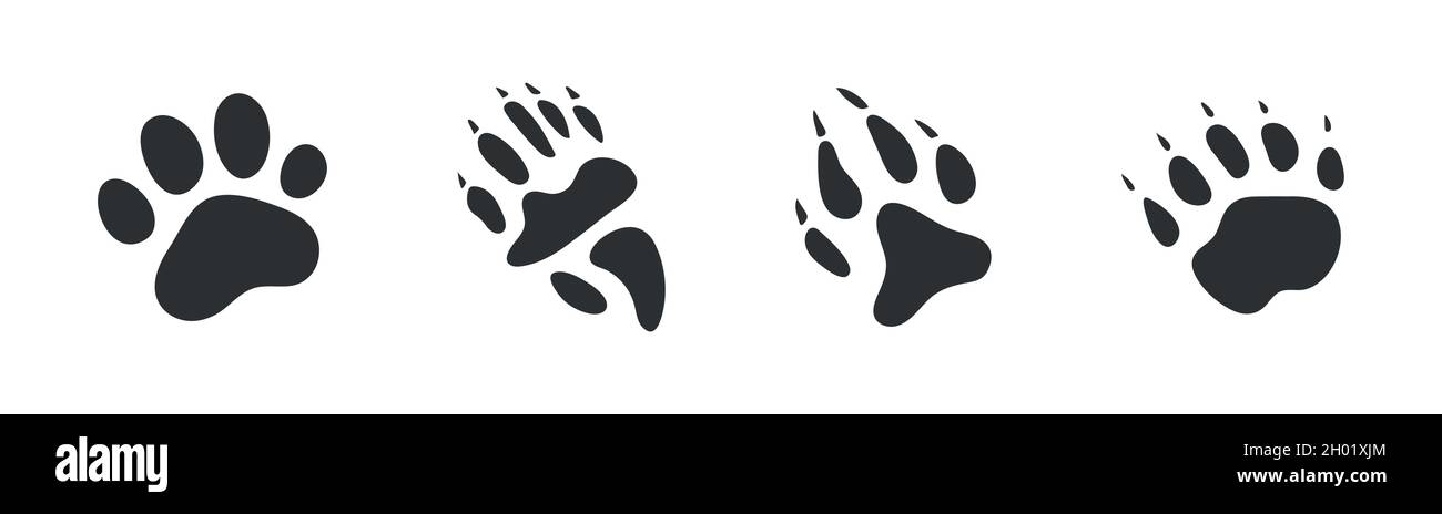 Empreintes d'animaux, empreintes de pattes.Ensemble de différentes empreintes et traces d'animaux et d'oiseaux.Chat, lion, tigre, ours, chien,coati.Illustration vectorielle Illustration de Vecteur