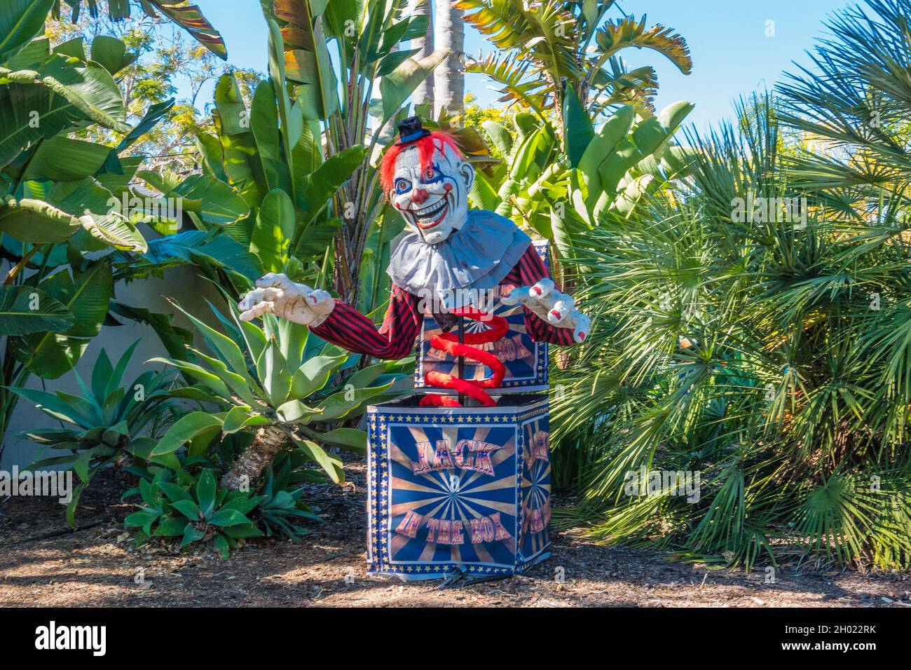 Un énorme Jack-in-the-Box exposé pour halloween dans la cour avant d'une maison à Santa Barbara, Californie. Banque D'Images