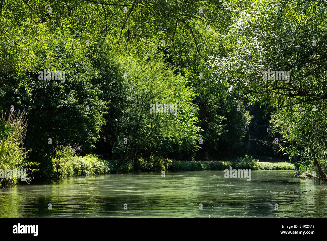 Sentier écologique le long de la rivière Zlatna Panega et des rochers le long de la rive Banque D'Images