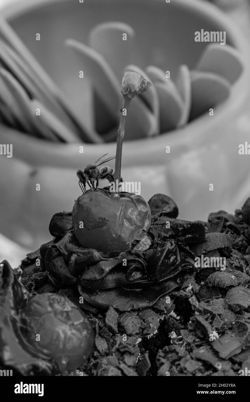Gros plan d'un vrai gâteau vegan avec une abeille sur la cerise Banque D'Images