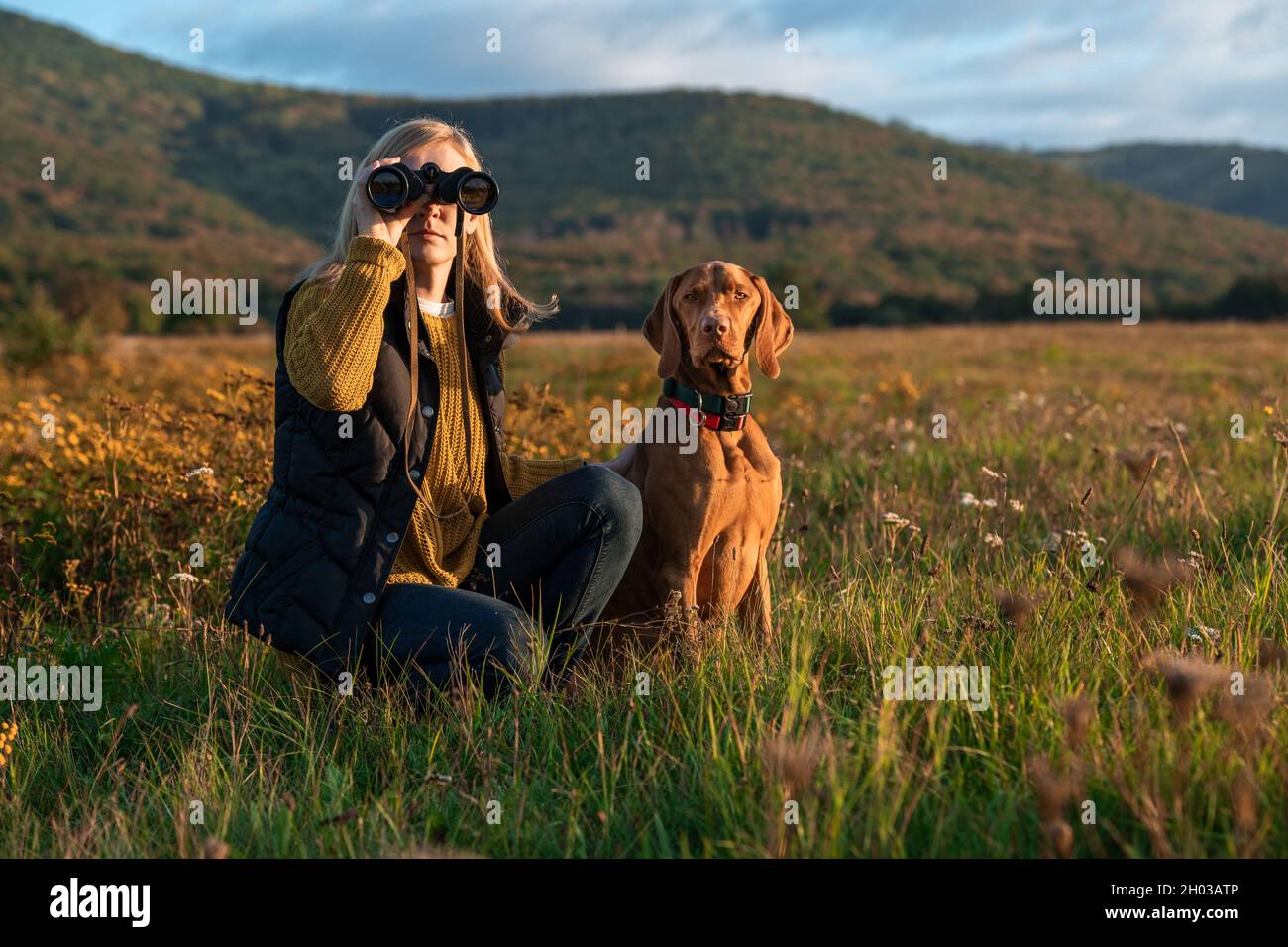 Jeune chasseur féminin utilisant des jumelles pour observer les oiseaux avec le chien hongrois vizsla à ses côtés, dans un pré lors d'une belle soirée d'automne ensoleillée.Hun Banque D'Images
