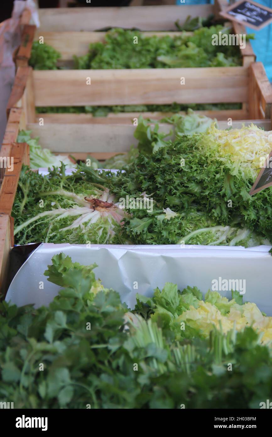 Endives fraîches, laitue, légumes en caisses sur un marché agricole en France Banque D'Images