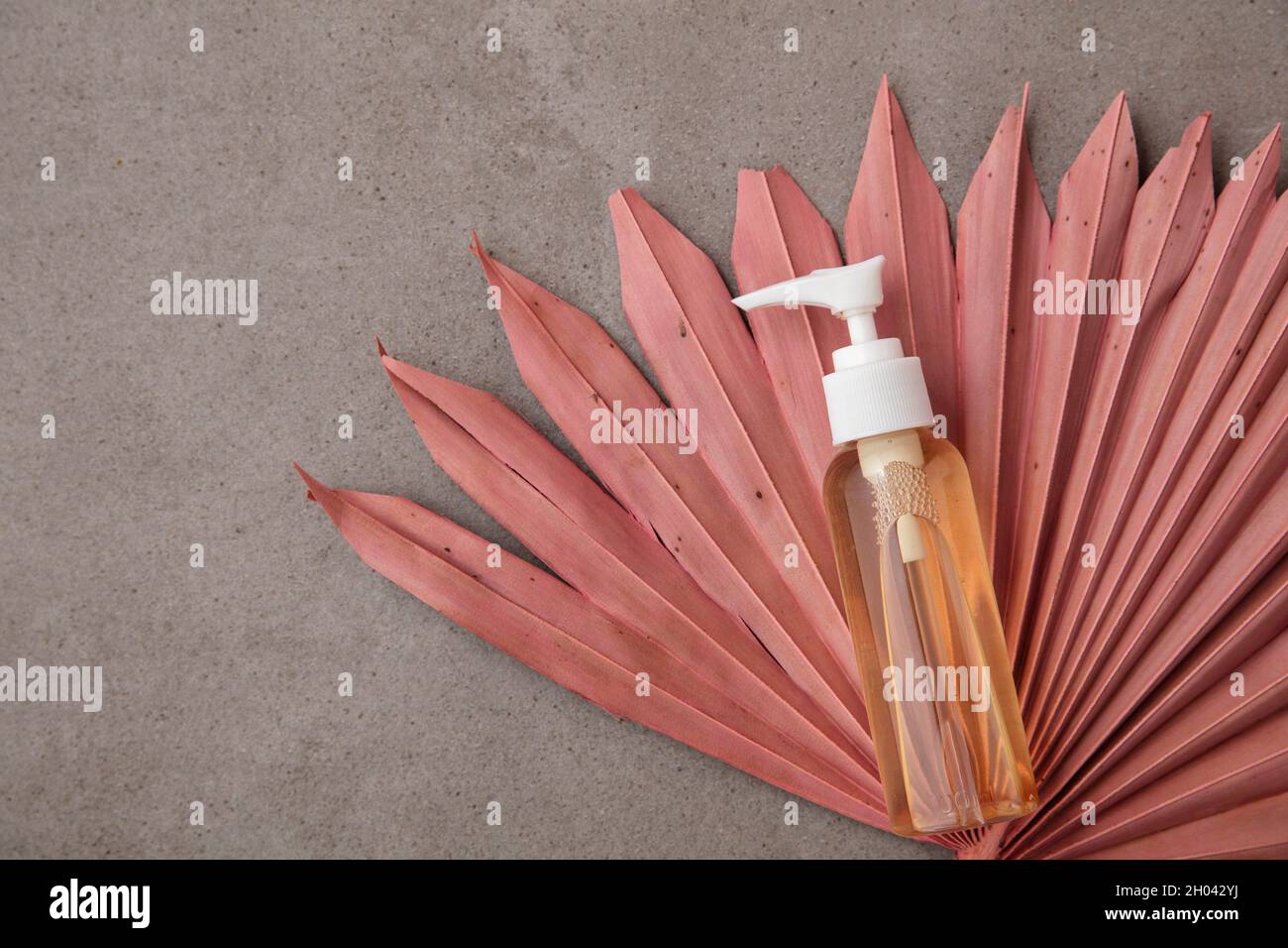 Fond naturel de produit de beauté avec une bouteille et des feuilles de palmier roses séchées Banque D'Images