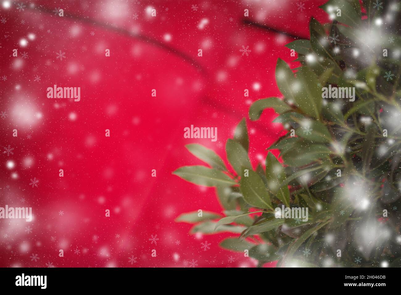 Carte de joyeux noël.Thème des vacances d'hiver.Bonne Année.Espace pour le texte. Banque D'Images