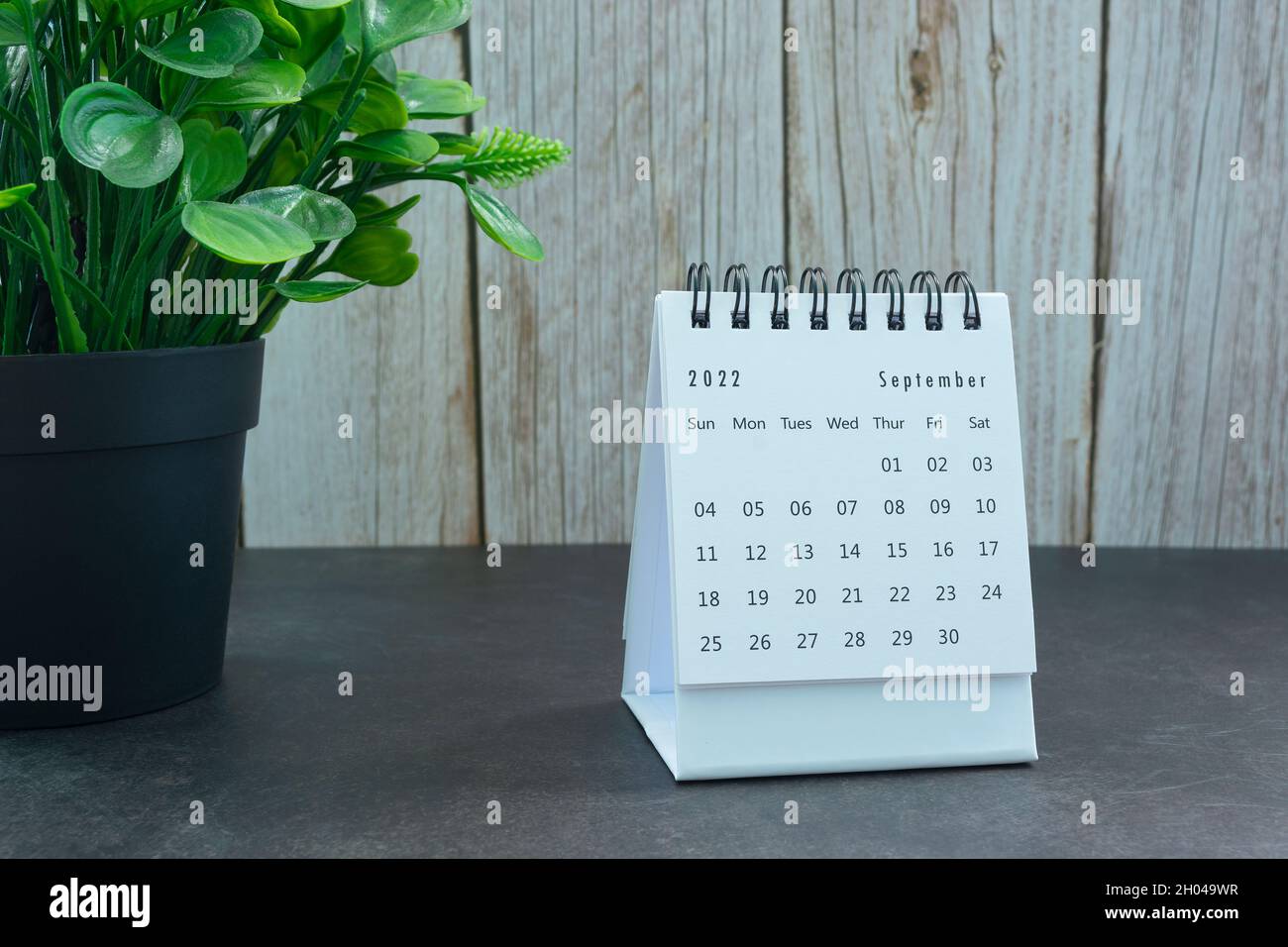 Calendrier blanc du 2022 septembre avec plante en pot.Concept du nouvel an 2022 Banque D'Images