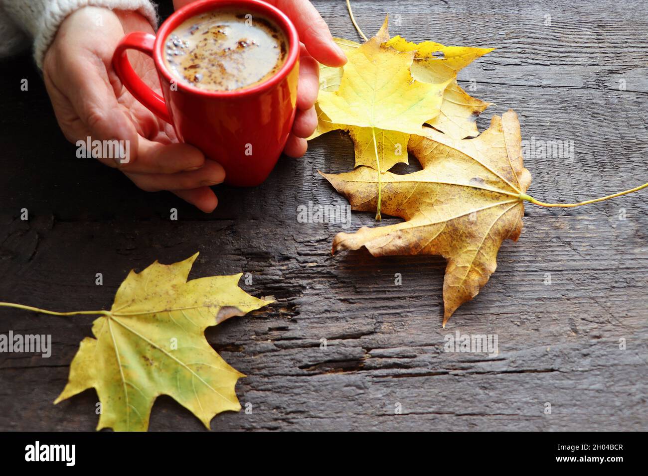Les femmes tiennent des tasses de café avec des feuilles d'automne sur fond de table rustique en bois Banque D'Images