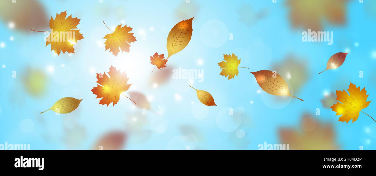 bannière lumineuse d'automne avec des feuilles jaunes en chute libre Banque D'Images