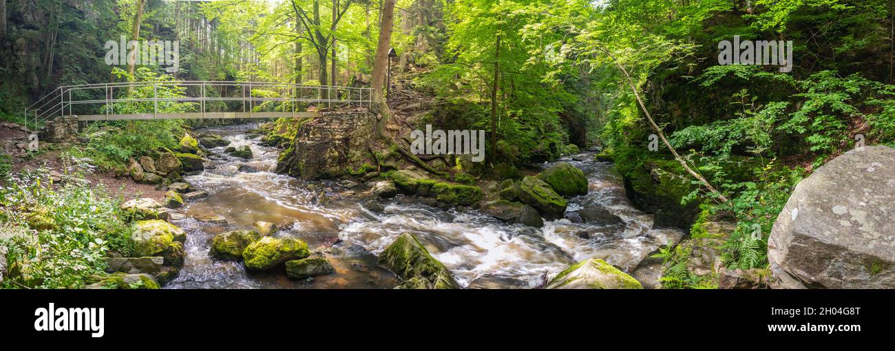 Rivière sauvage de Doubrava avec une passerelle en fer, dans les bois, avec des rapides et des rochers, près de Chotebor, République tchèque Banque D'Images