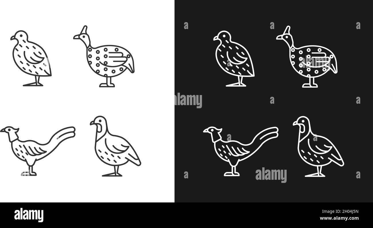 Icônes linéaires Landfowl définies pour les modes sombre et clair Illustration de Vecteur