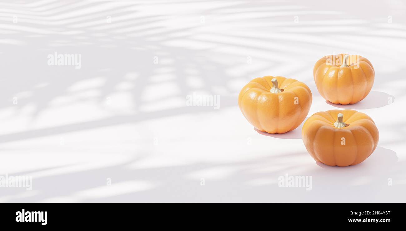 Citrouilles sur fond blanc pour la publicité sur les vacances d'automne ou les ventes, rendu de bannière 3d Banque D'Images