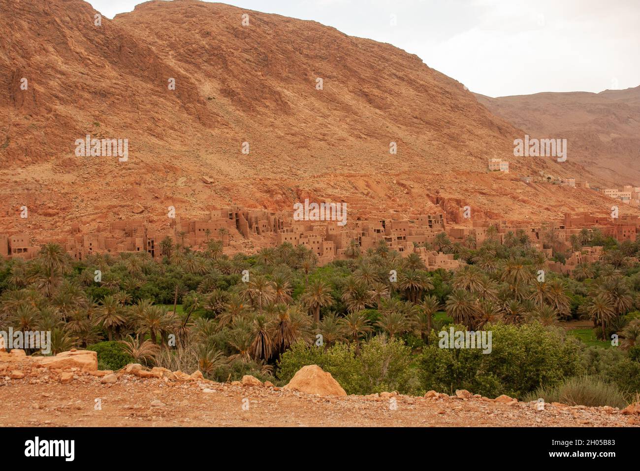 Oasis et paysage du désert du Sahara photographiés au Maroc Banque D'Images
