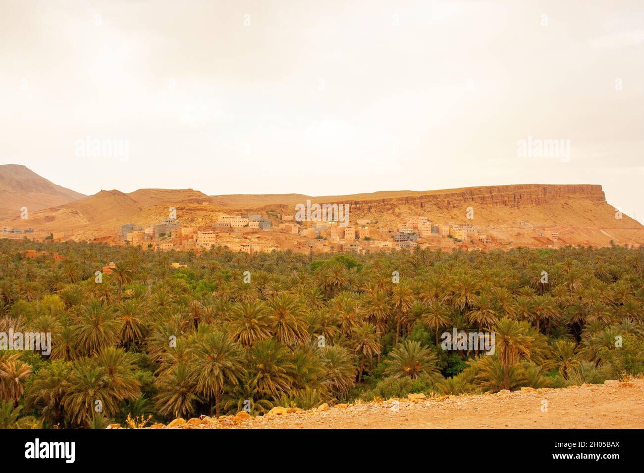 Oasis et paysage du désert du Sahara photographiés au Maroc Banque D'Images