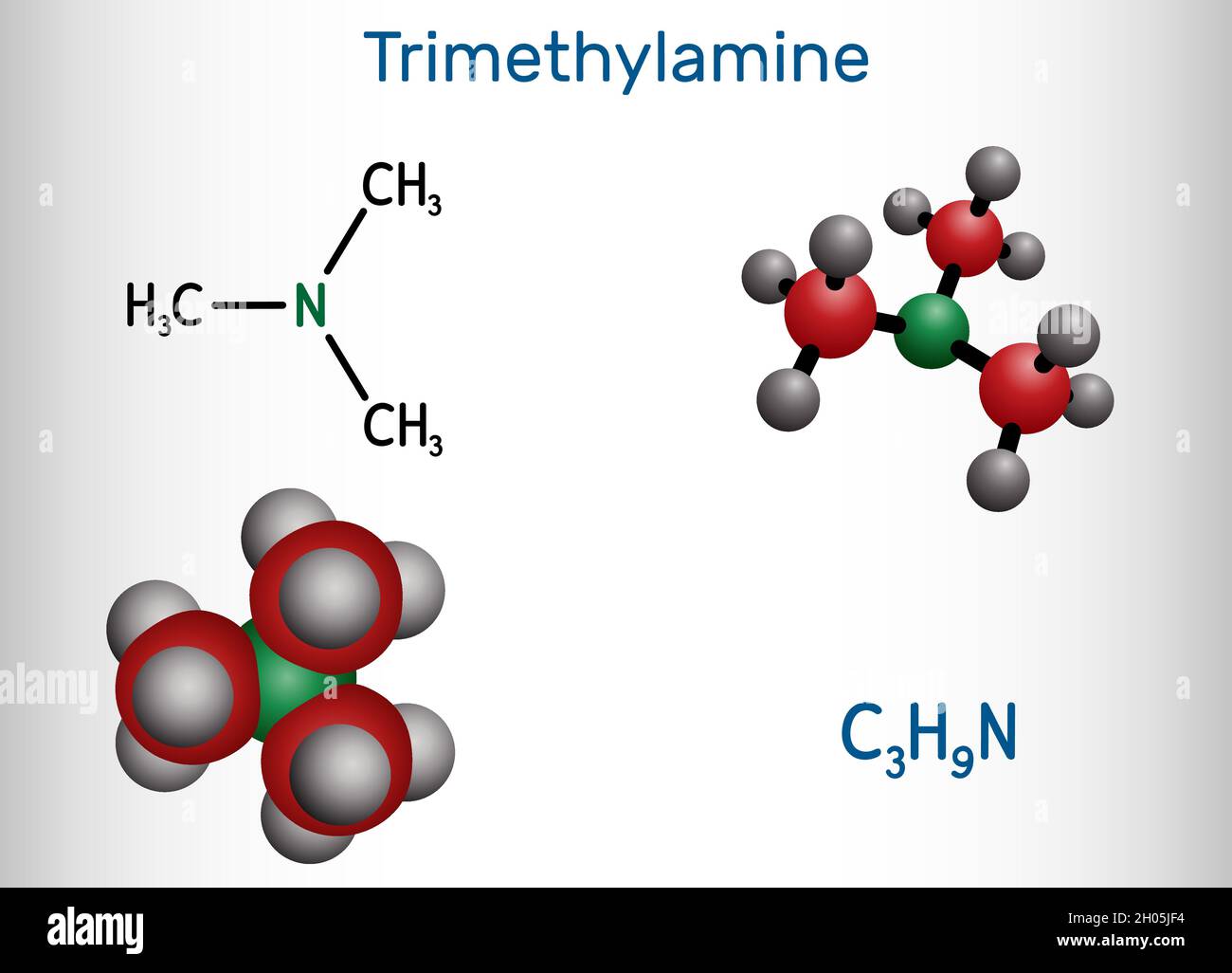 Triméthylamine, molécule TMA.Il s'agit de l'amine, la méthylamine, synthétisée par des enzymes microbiennes dans l'intestin avec implication des composants alimentaires.Structure che Illustration de Vecteur