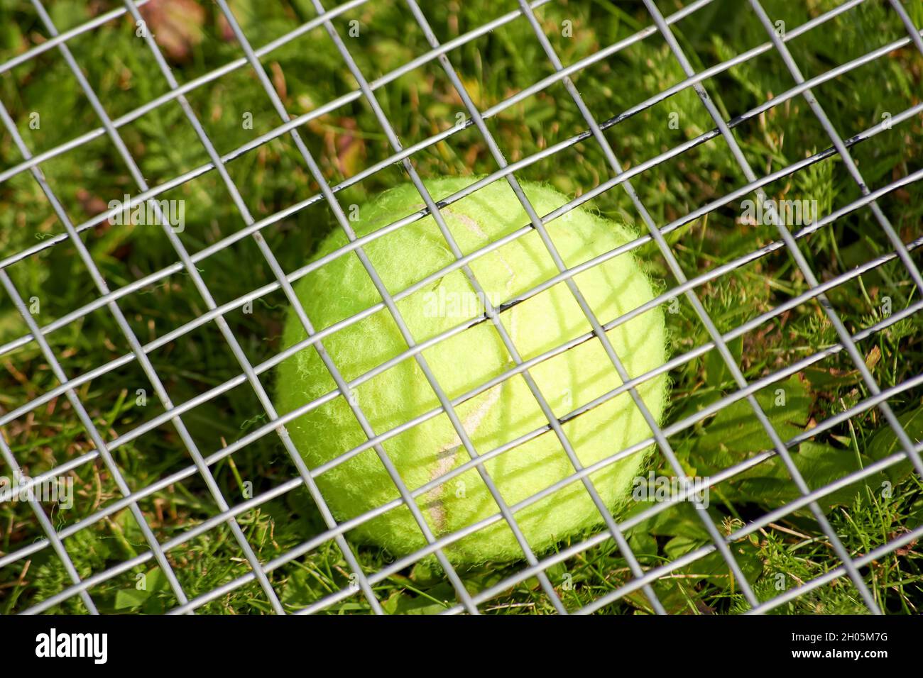 Balle de tennis jaune à travers le filet de raquette.Sports individuels et jeux en plein air Banque D'Images