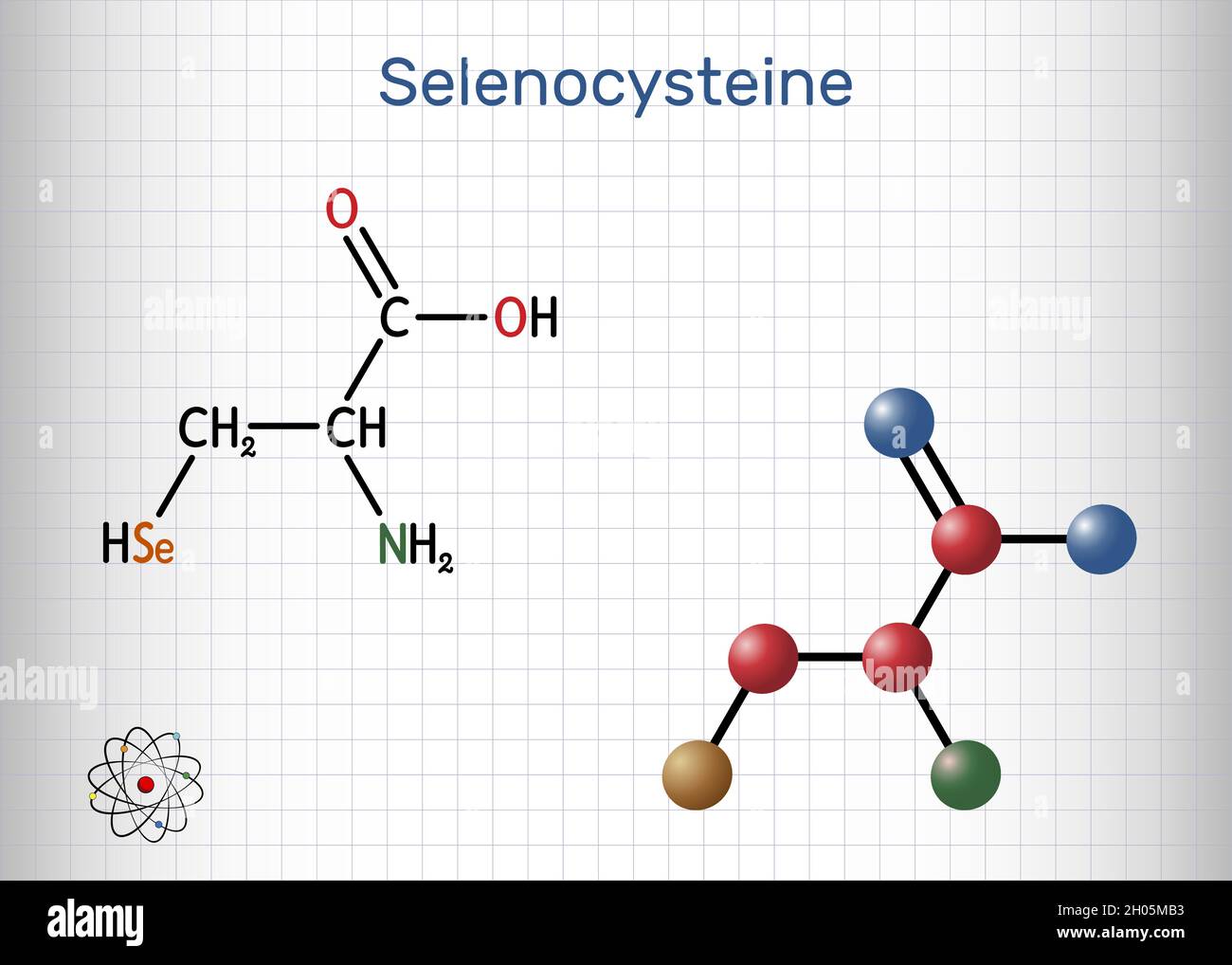 Sélénocystéine, L-sélénocystéine, sec, molécule U.Il s'agit d'acide aminé protéinogène, analogue du sélénium de la cystéine, bloc de construction des sélénoprotéines.SH Illustration de Vecteur