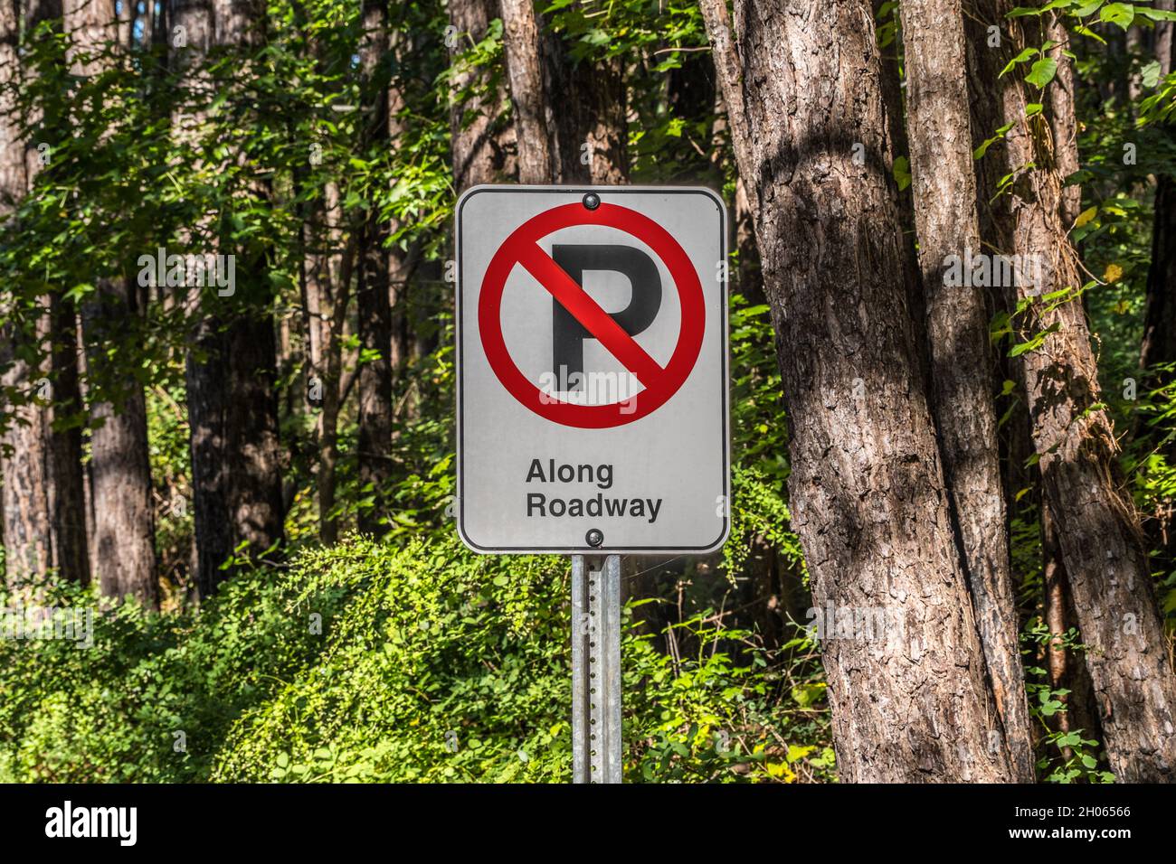 Un symbole d'absence de stationnement avec ajout de mots de signalisation le long de la route sur un poteau dans le parc le long de la vue de la forêt Banque D'Images