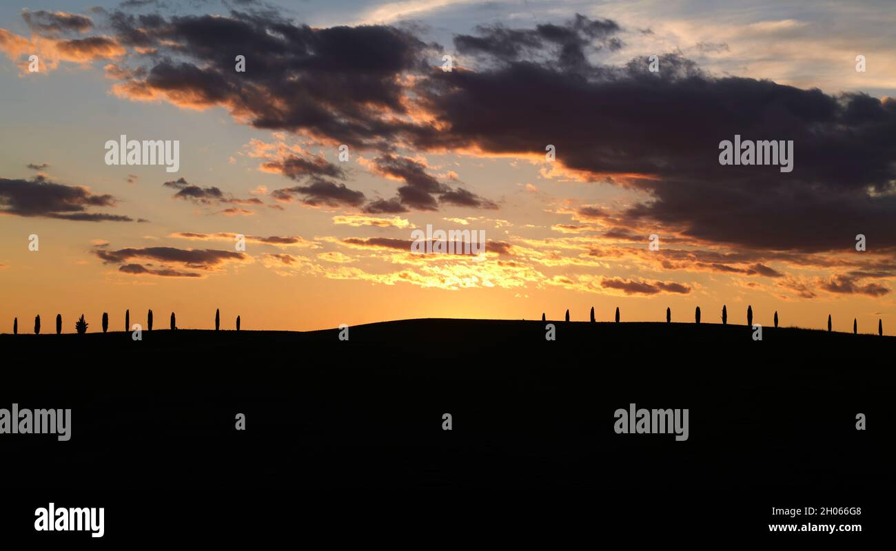 Coucher de soleil à Val d'Orcia Toscane Italie, avec des cyprès typiques Banque D'Images