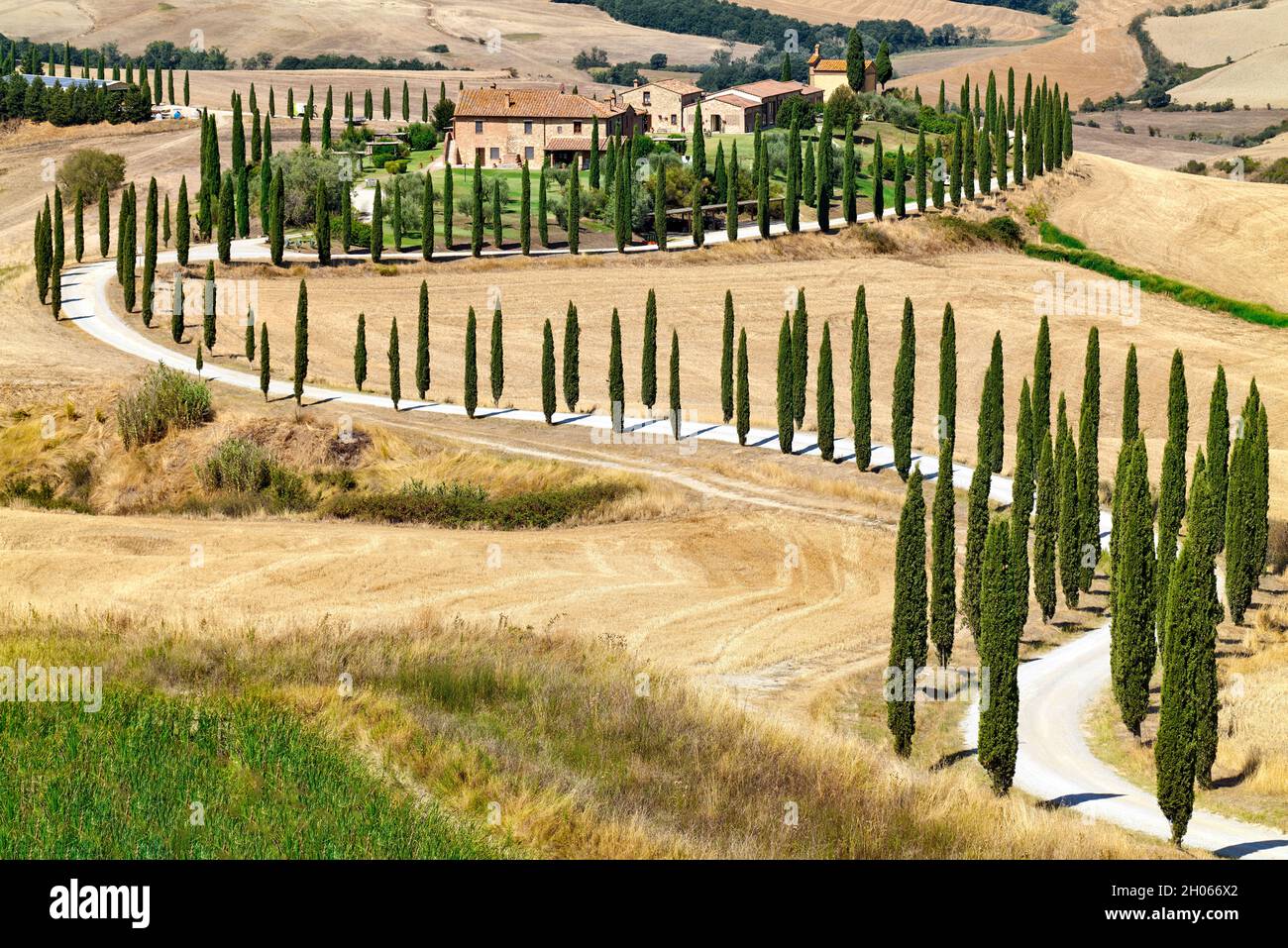 Paysage typique de Val d'Orcia Toscane Italie avec cyprès en forme de S. Banque D'Images