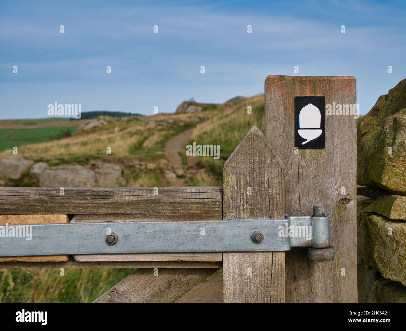 Le panneau de la piste nationale d'Acorn blanc sur un poste de garde en bois abîmé montre le chemin du mur d'Hadrien dans le parc national de Northumberland, au Royaume-Uni. Banque D'Images